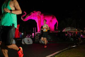 BIB: 
                            <button type="button" onclick="openModal(26543668)" class="btn btn-primary btn-sm float-right btn-popup" data-toggle="modal" data-target=".modal-high-quality">
                        <i class="fas fa-shopping-cart"></i> Add to Cart
                    </button>
                                            <button type="button" onclick="isThisMe(26543668, true)" class="btn btn-success btn-sm float-right btn-popup btn-isme hidden" data-toggle="tooltip" data-placement="bottom" title="นี่คือรูปของคุณใช่ไหม คลิกที่นี่เพื่อเอาเข้าอัลบั้ม">
                        <i class="fas fa-plus"></i> Add to album
                    </button>
                    <button type="button" onclick="isThisMe(26543668, false)" class="btn btn-warning btn-sm float-right btn-popup btn-isnotme hidden">
                        <i class="fas fa-ban"></i> Remove from album
                    </button>